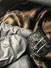 Tahari by ASL Black Blazer Size L (estimated) - photo 8