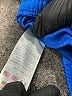 Champion Solid Blue Athletic Shorts Size 7 - photo 4