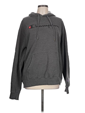 Champion Pullover Hoodie (view 1)