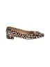 Ann Mashburn Animal Print Brown Flats Size EU 41 - photo 1