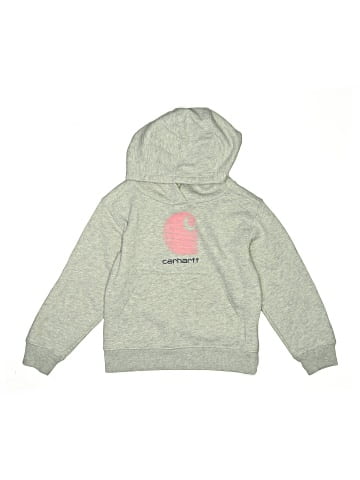 Carhartt Pullover Hoodie (view 1)