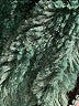 Lands' End 100% Polyester Camo Green Snow Jacket Size 10 - 12 - photo 3