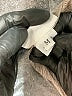 bryn WALKER Multi Color Gray Jacket Size M - photo 4