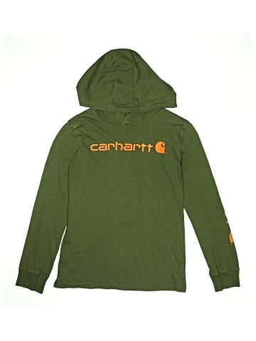 Carhartt Pullover Hoodie (view 1)