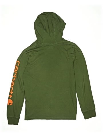 Carhartt Pullover Hoodie (view 2)