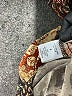 North Style Print Brown Cocktail Dress Size 8 - photo 4