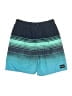 Hurley Teal Board Shorts Size 14 - 16 - photo 1