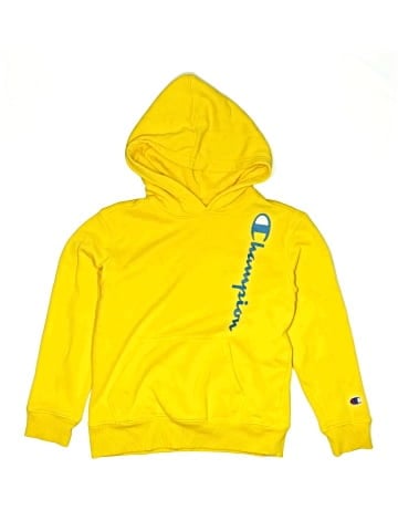 Champion Pullover Hoodie (view 1)