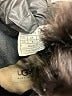 Ugg Australia 100% Leather Black Sneakers Size 9 1/2 - photo 4