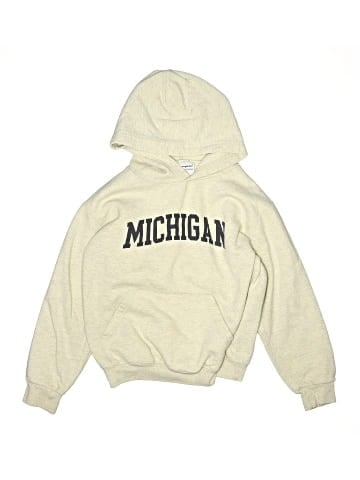 Champion Pullover Hoodie (view 1)