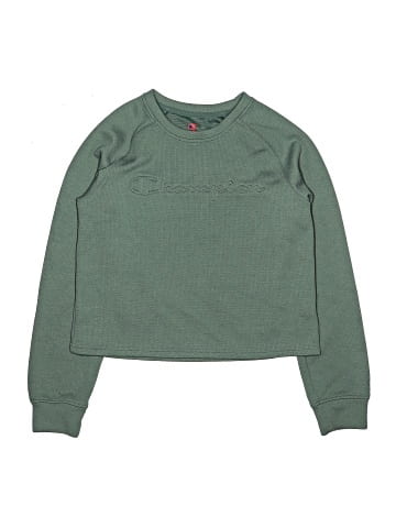 Champion Sweatshirt (view 1)