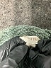 Hem & Thread 100% Polyester Green Gray Cardigan Size L - photo 7