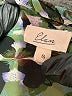 Elan 100% Polyester Green 3/4 Sleeve Blouse Size S - photo 7