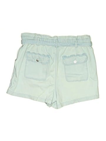 American Eagle Outfitters Shorts (view 2)