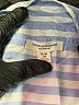 BeachLunchLounge Stripes Blue Long Sleeve Button-Down Shirt Size XL - photo 7