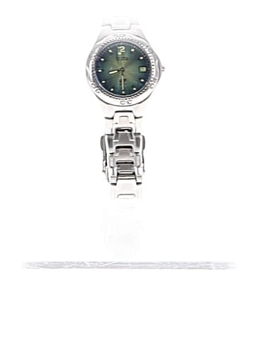 Fossil Watch (view 1)