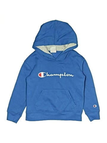 Champion Pullover Hoodie (view 1)