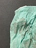 Levi's Tropical Green Shorts Size 4 - photo 3