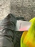 Jennifer Lopez 100% Polyester Solid Green Athletic Shorts Size XL - photo 4