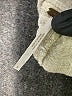 Free People Ivory Jeans Size 6 - photo 5
