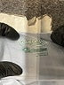 Saucony Blue Active Tank Size M - photo 7