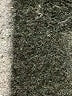Fashion Bug Solid Brown Active Pants Size M - photo 8