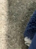 Hanna Andersson Solid Blue Fleece Jacket Size 10 - photo 4