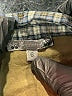 Bonpoint Plaid Gray Long Sleeve Button-Down Shirt Size 6 - photo 3