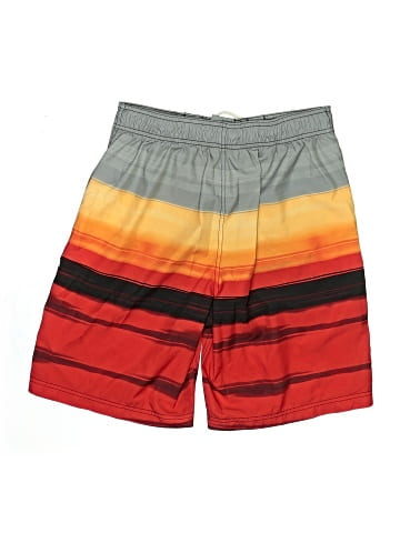 Speedo Board Shorts (view 2)