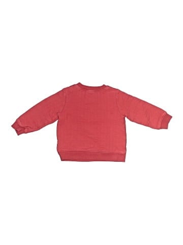 Carter's Sweatshirt (view 2)