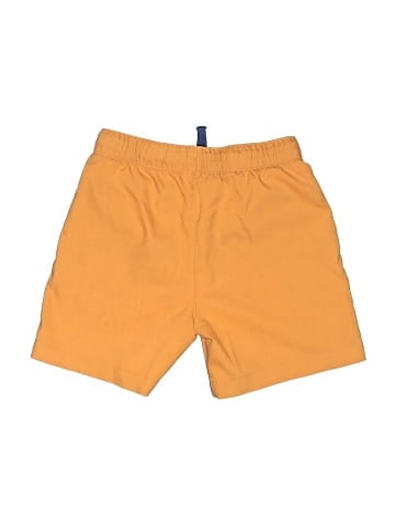Primary Clothing Board Shorts (view 2)