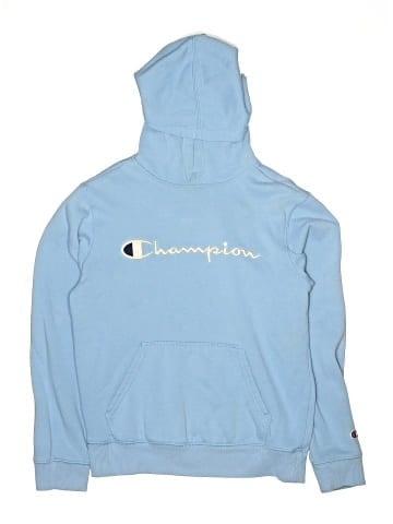 Champion Pullover Hoodie (view 1)
