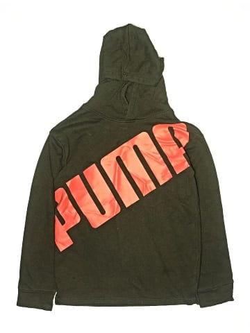 Puma Pullover Hoodie (view 1)