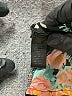 Full Tilt 100% Nylon Floral Black Short Sleeve Blouse Size XL - photo 8
