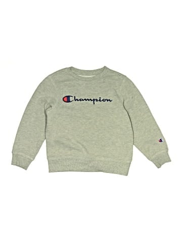 Champion Sweatshirt (view 1)