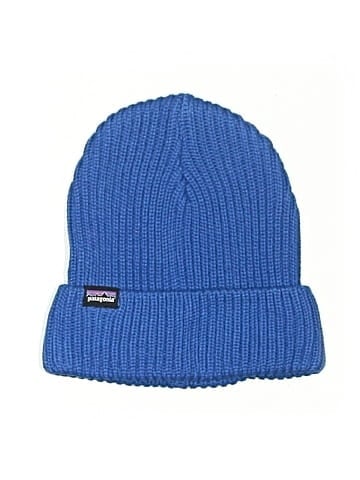 Patagonia Beanie (view 1)
