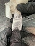Lulus Ivory Casual Pants Size M - photo 8