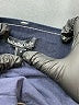 Isabella Oliver Blue Jeans Size 8 Maternity (3) - photo 6