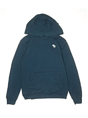 Abercrombie Kids Pullover Hoodie (view 1)