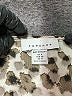 Topshop 100% Polyester Animal Print Multi Color Ivory 3/4 Sleeve Blouse Size 4 Maternity - photo 6