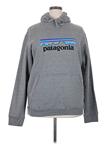 Patagonia Pullover Hoodie (view 1)