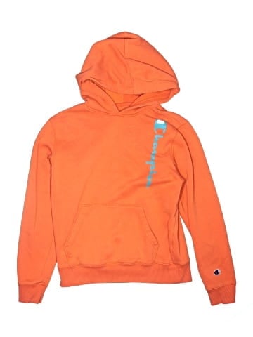 Champion Pullover Hoodie (view 1)