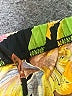 Solitaire Tropical Black Casual Pants Size 26 waist (estimated) - photo 7
