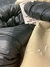Covington Metallic Tan Short Sleeve Blouse Size M - photo 8