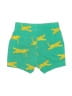 Hanna Andersson 100% Cotton Print Green Board Shorts Size 18-24 mo - photo 2