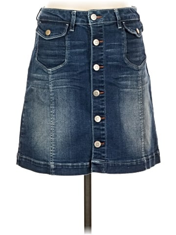 Dittos Denim Skirt (view 1)