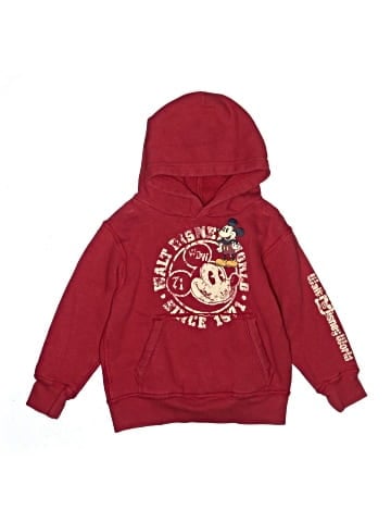 Disney Parks Pullover Hoodie (view 1)