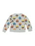 Stella McCartney Print Silver Gray Pullover Sweater 12-18 MO / 18 MO - photo 2