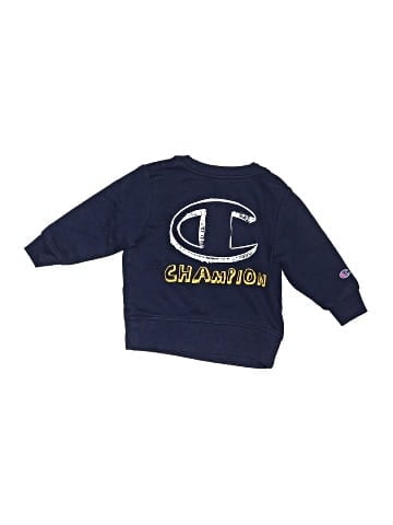 Champion Sweatshirt (view 1)