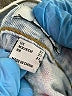 Forever 21 Graphic Blue Jeans Size 27 waist - photo 8